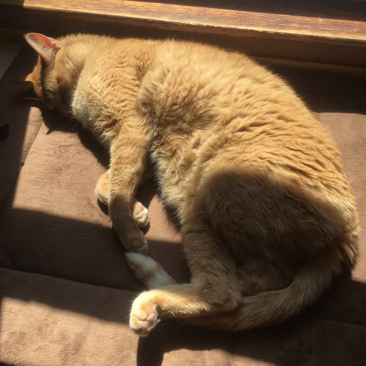 2d257fb9 e1c4 4360 9caa a5f50073e8bd 1617753718758