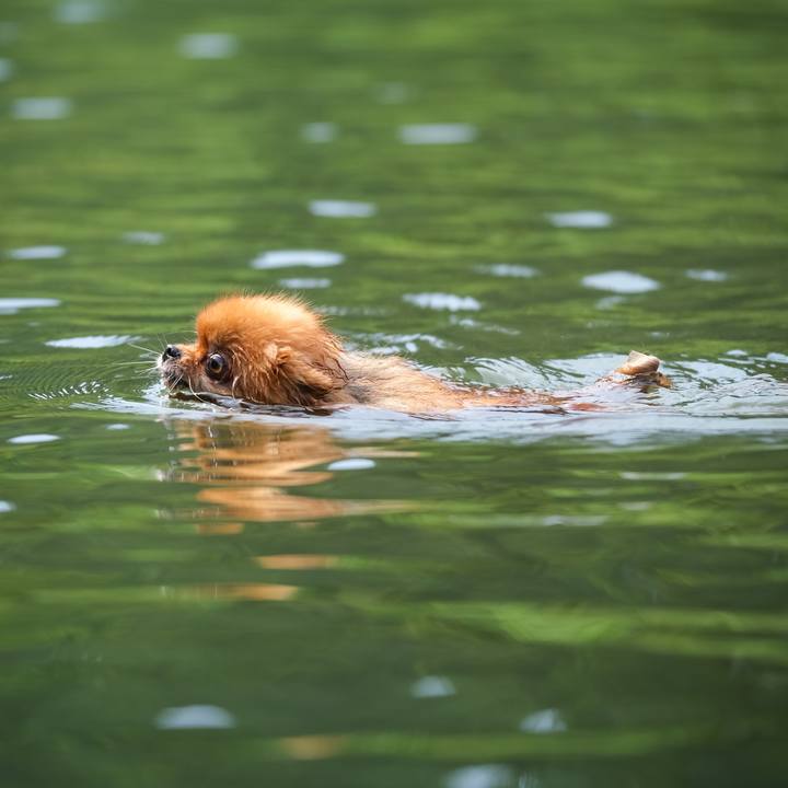 2d258314 5f2b 43eb a3fd b1a02b4cc35b 1598740550554