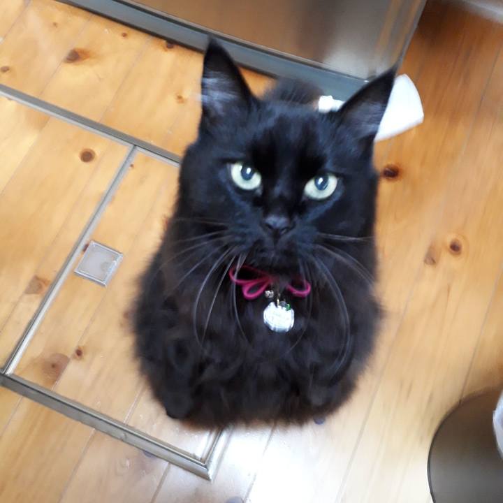 2d25b790 cef2 45bc aa5a aca69e1d302e 1516775331538