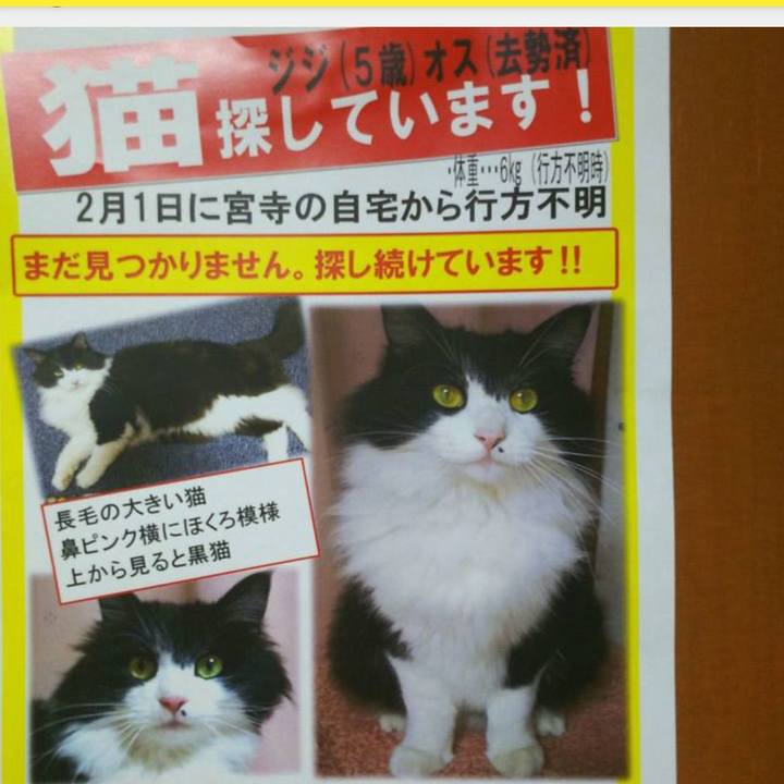 2d25b89a 692c 4136 b50f 560f3e3b762d 1631535498281