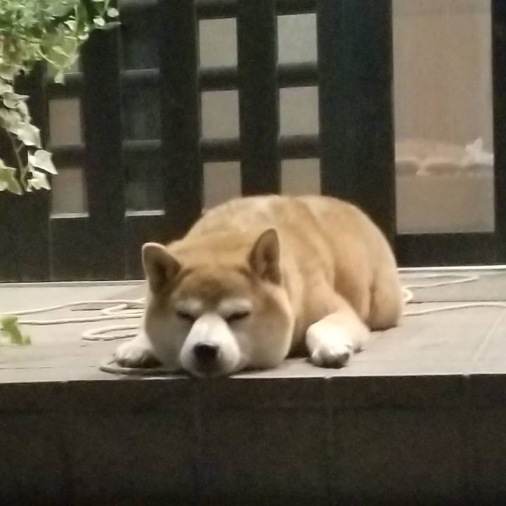 2d25c399 d316 401a 9bea 7d9319cf13f2 1568544681360