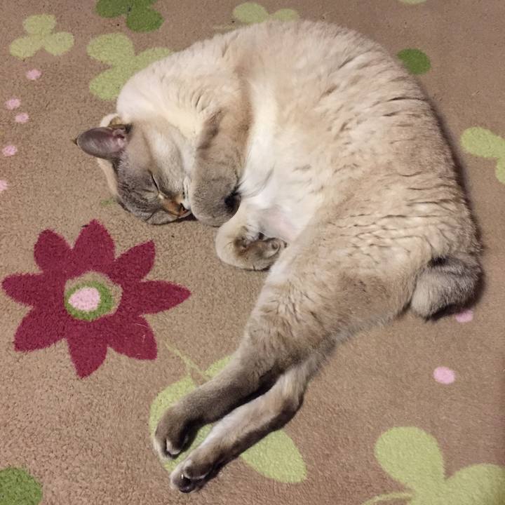 2d260fac 0889 463f bb1a dd54e1f32609 1545040262917