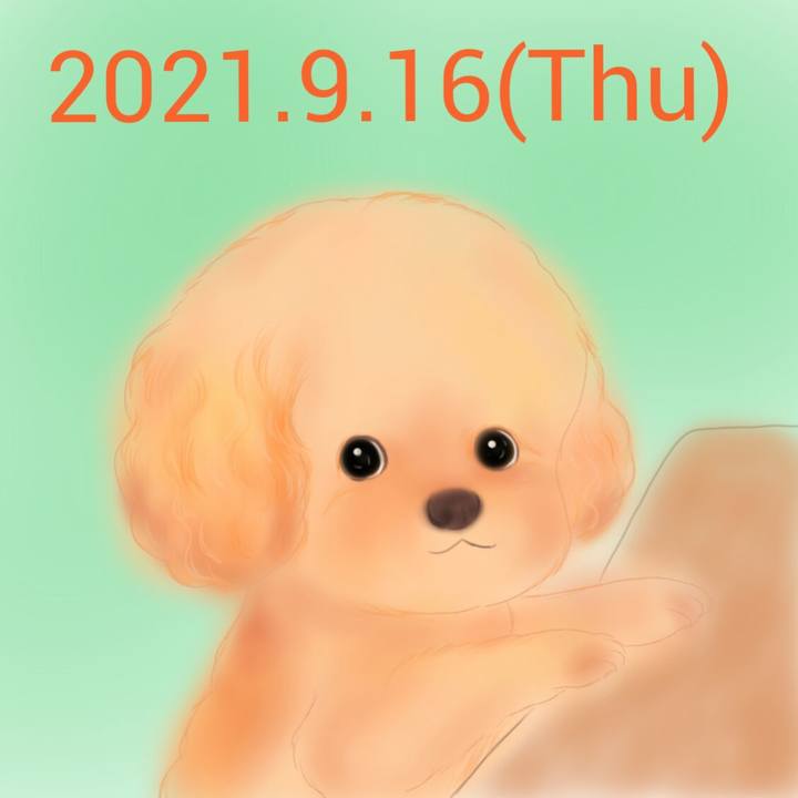 2d261388 2e6f 48cd 984e 29d93ad205ba 1631798070848