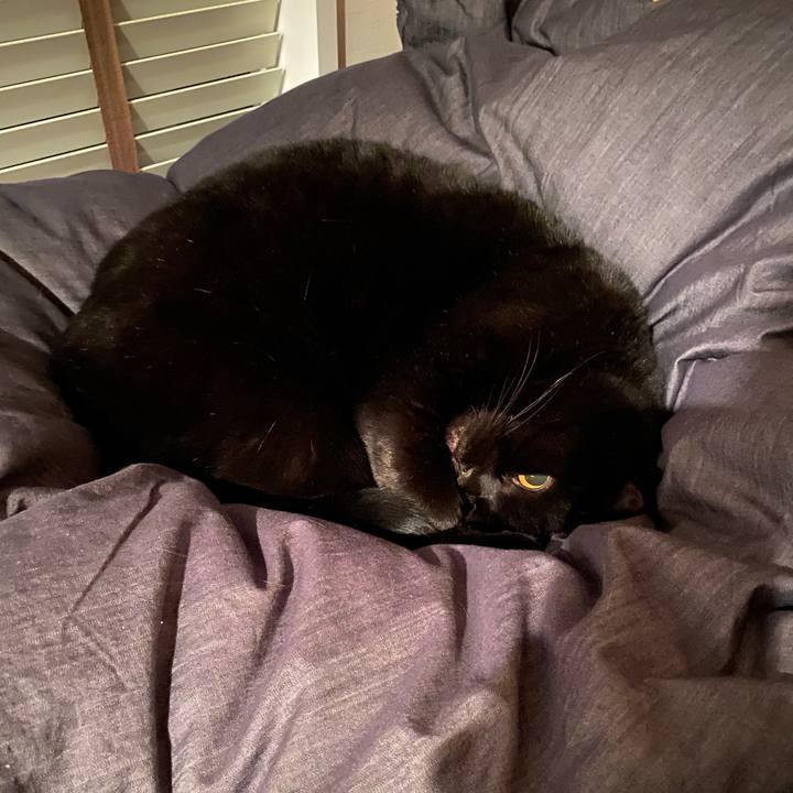 2d2618ab 58b5 48bc bc73 ce806b89f087 1675252799946