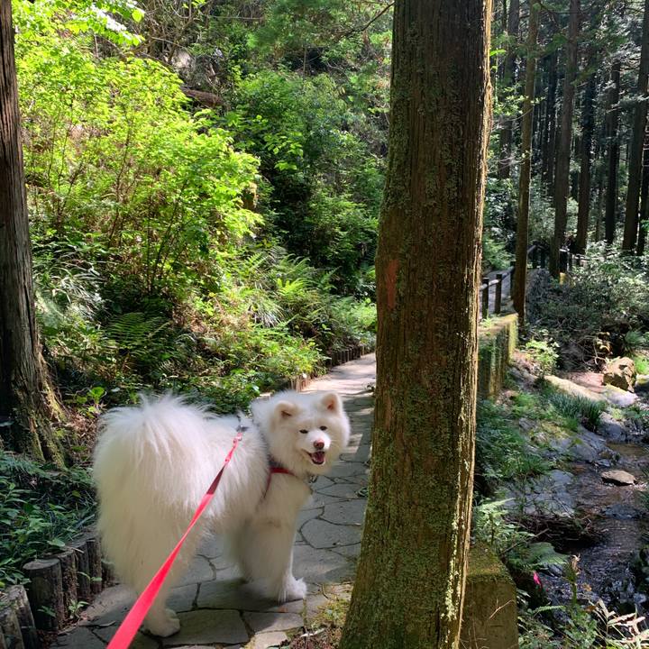 2d262267 1f25 44c8 96d8 565ce490cd3e 1620739231077