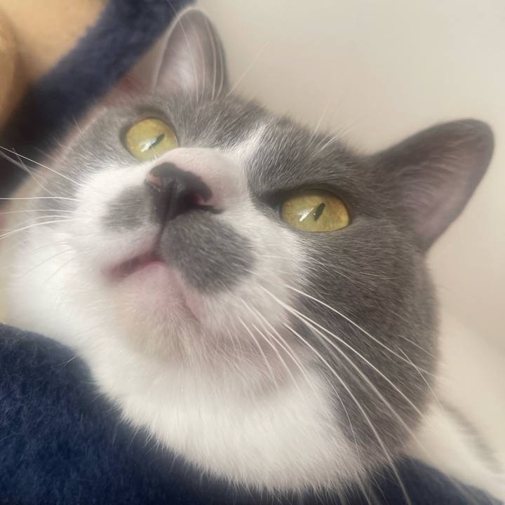 2d2638ff ac66 4d75 9e2a 140c62194c63 1730679049058