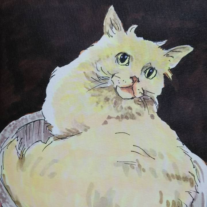 2d26408d 0852 4071 ac34 3d64bd8dda52 1538823405002