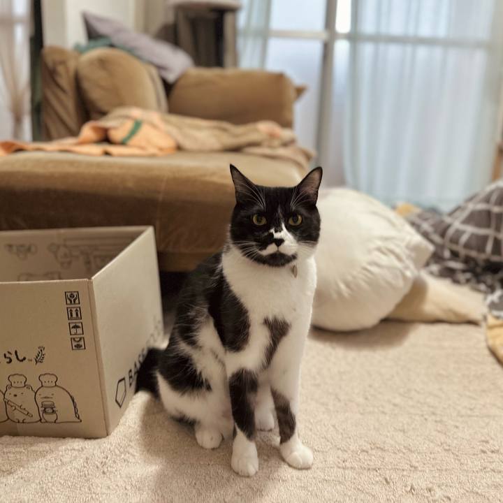 2d26884c d987 447d aab3 f1c41137e7b4 1766623961498