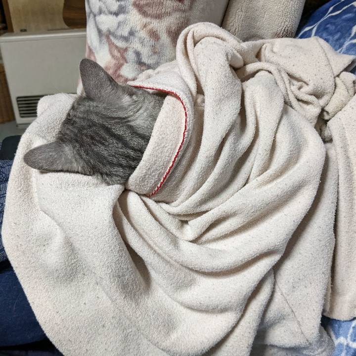 2d26ced3 a625 44b4 8978 513d8daa4f3e 1697013030082