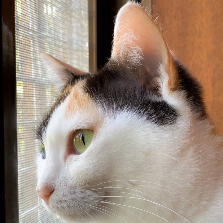 2d26d9b9 8144 44e0 ae4b c365fa2fce10 1588988494740