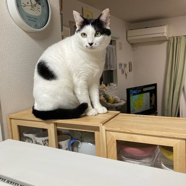 2d26e971 e8d1 429a b9a0 5252b2be6538 1764274873227