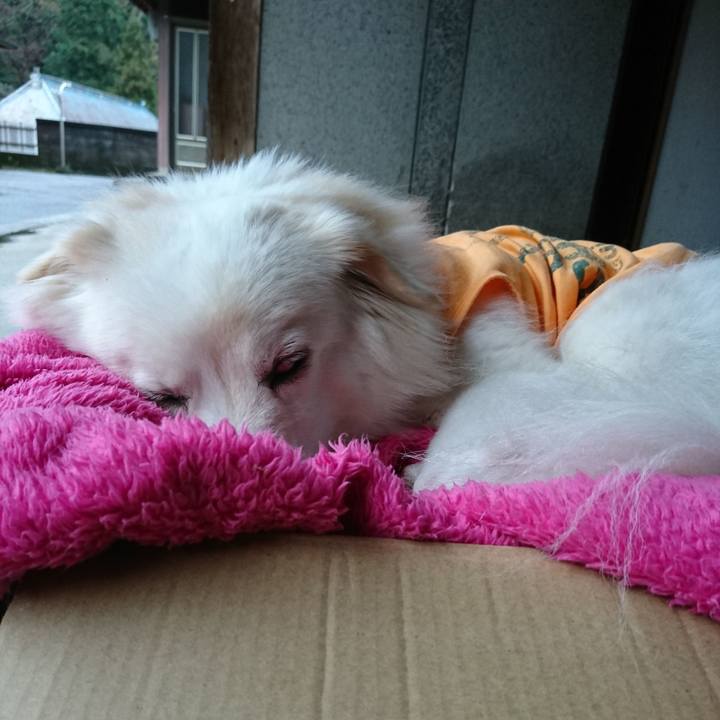 2d2778f5 01f1 4990 a730 e62bdfd926fb 1547965773826