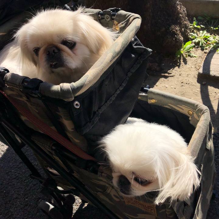 2d27938a 8e98 42f3 9c9e 47ec098368a5 1542422050742