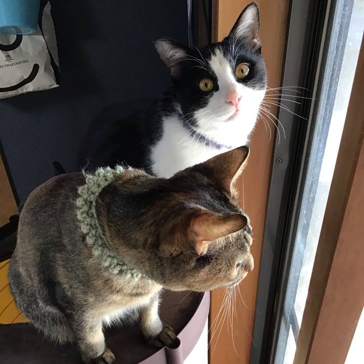 2d27cdf2 4859 4260 a759 7a67076ec006 1643877244962