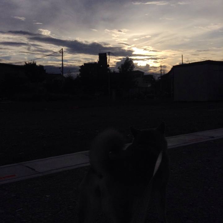 2d280921 1173 4d36 8db2 4c50f615b6ff 1534330443163