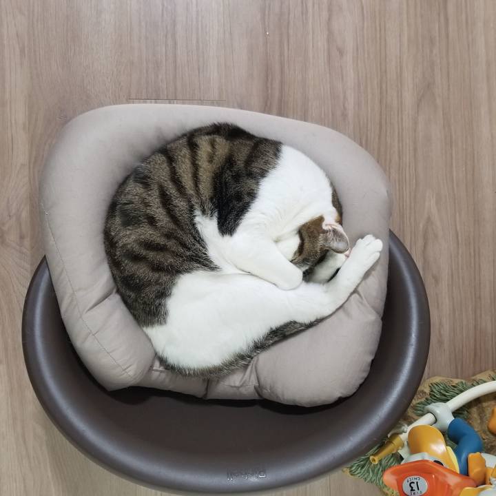 2d280aa0 2c9d 4af9 834c 4b29fa3d73f8 1617658958774