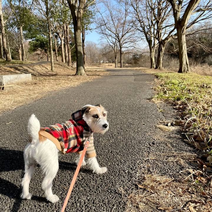 2d281691 fb83 4d31 a0e3 a7901e8f7099 1675231822828