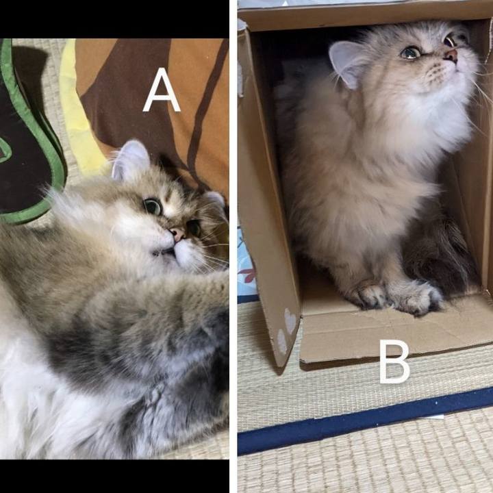 2d28220d fda2 4e00 b94b c8474ae0af7e 1660442437755