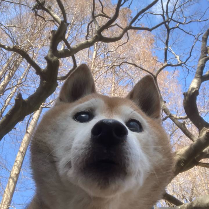 2d282304 8151 4e9c bb79 23aefba66f6f 1771833473707