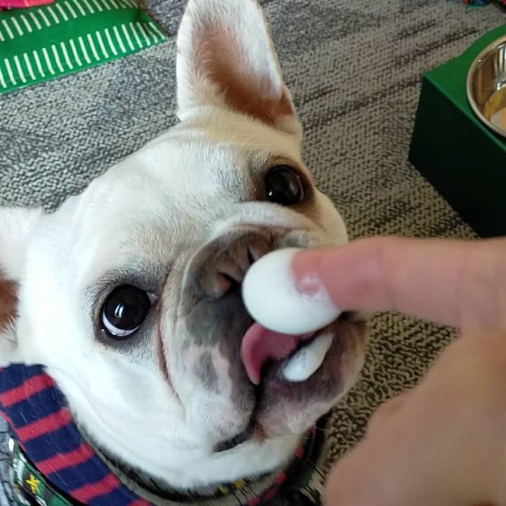 2d282aa6 122e 49af a928 126f562adb45 1645047073144