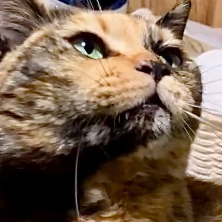 2d283316 f01d 4e95 8958 3a7df52b8ead 1737492865790