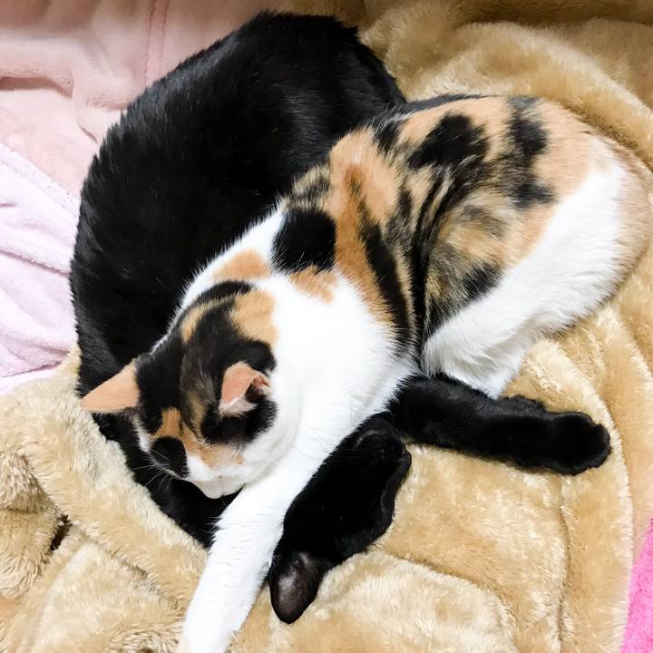 2d284e3e 1d36 4625 a816 54581e15b78d 1517448687604