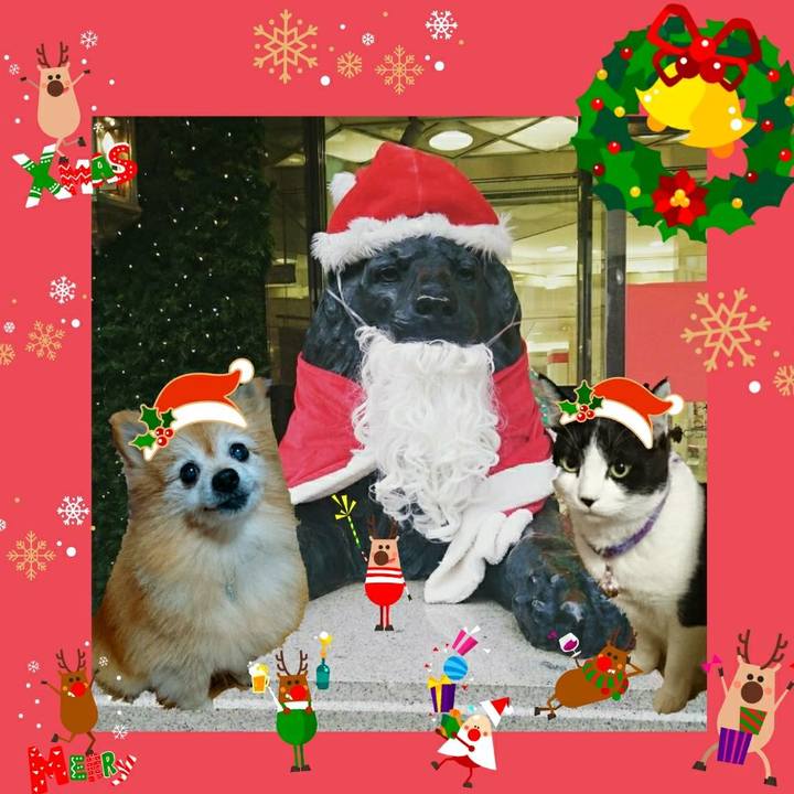 2d28545f 4003 4d0d 88d3 cf12b9ba95fa 1576972814586