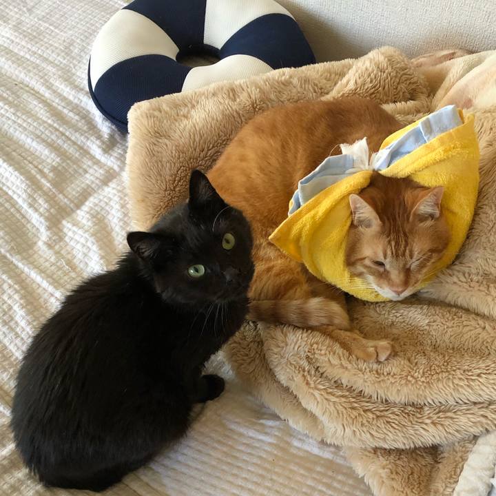 2d285f7b fe23 495b 99ce daeb37085959 1600566967647