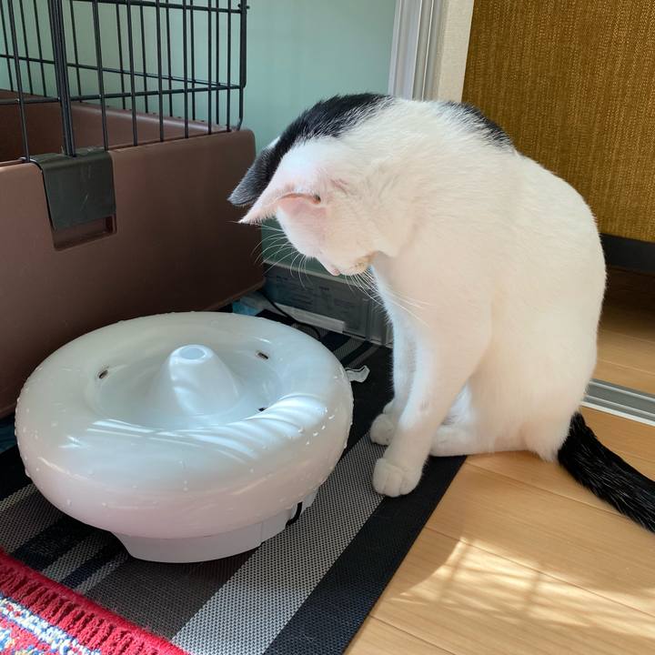 2d287389 2bbe 4d03 8359 0e884eab7998 1688191956116