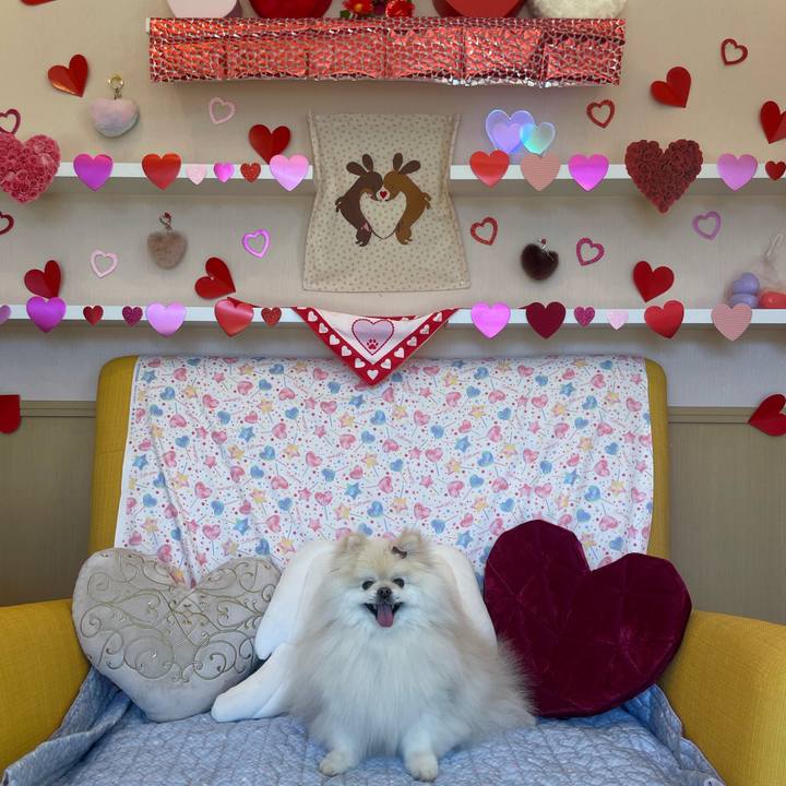 2d2876d8 fc6f 4483 968d 89578486c053 1739543485505