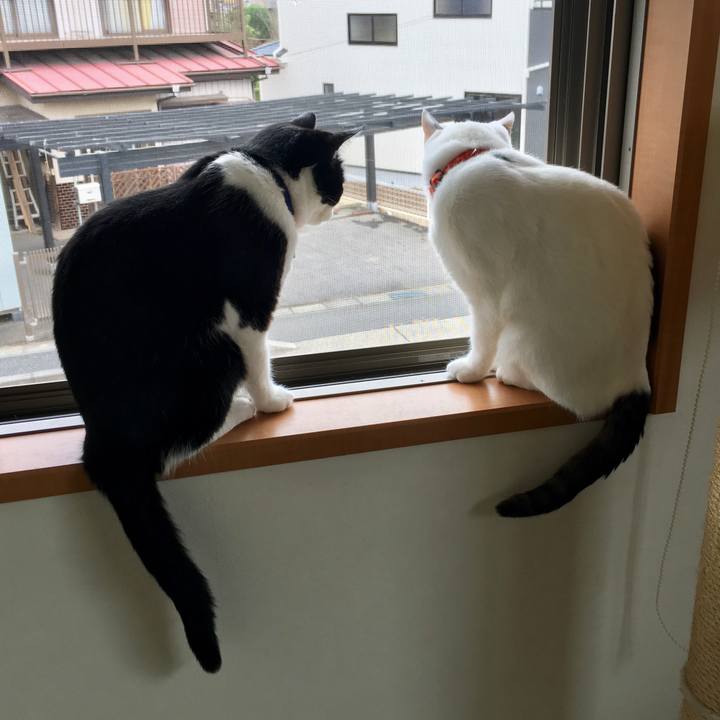 2d2885ed ea79 46e1 bf0e e995f3c55611 1539911681735