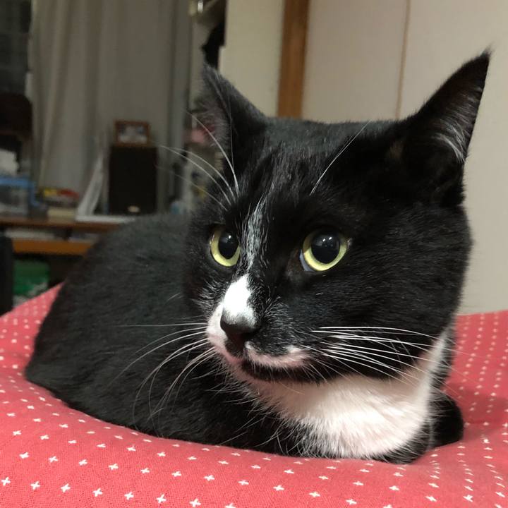 2d28993b 05e9 44c4 adc0 bab9fa9f54cf 1582773723679