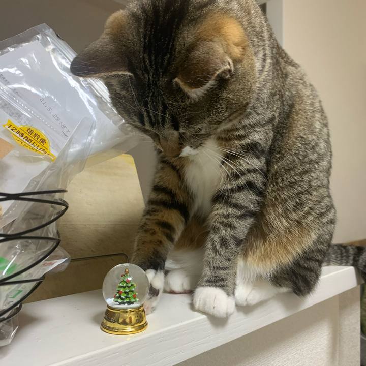 2d28c465 05a5 40fe 8ae0 372f5cd835eb 1608818257519