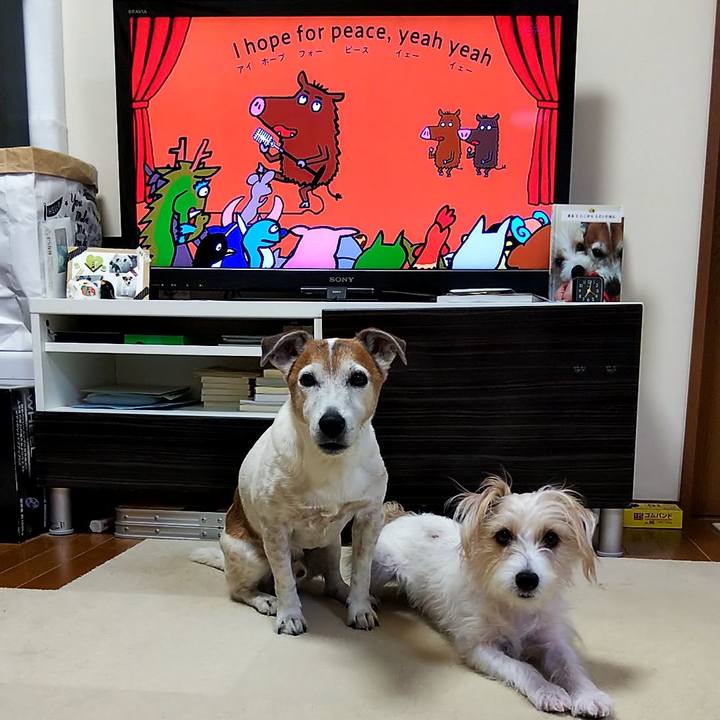 2d28f770 cb16 491e 8a4e c93837b28b03 1552429274523