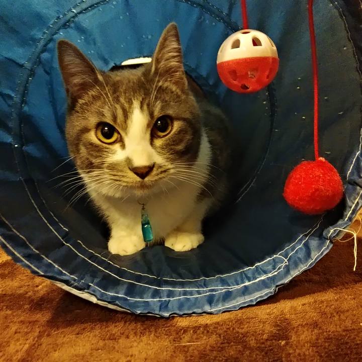 2d28fcb2 7ff1 4053 a527 1b25308a5b74 1578153188359