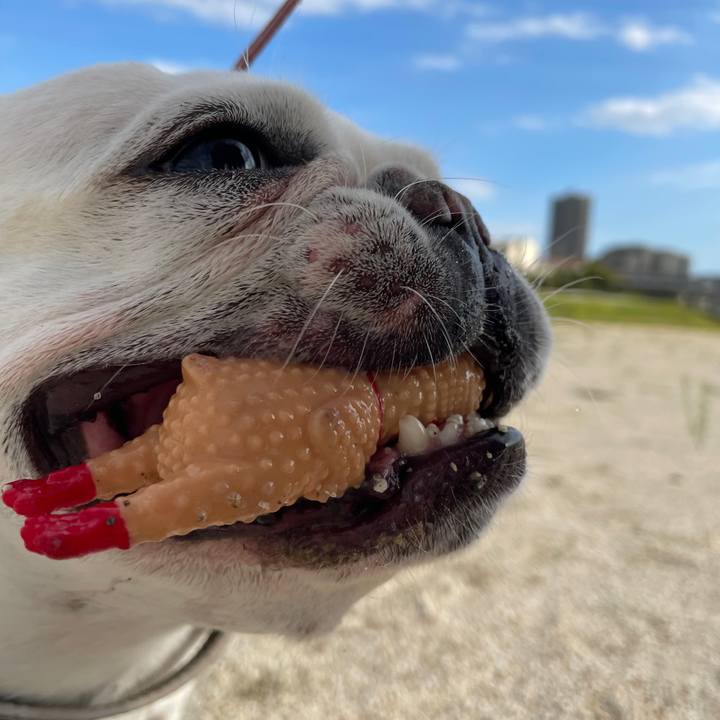 2d29578f c6dd 4c22 9159 c57165e70cdd 1761691092092