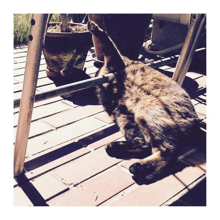 2d2982d4 c3ce 4b41 915b c4e810d480ea 1573879460275