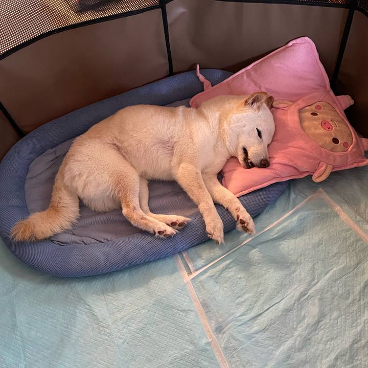 2d298da5 52f9 4970 a25d 907b311e46ce 1655180830104