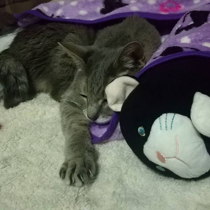 2d299ac8 79d5 464c b77b 548f15b8c514 1699637231082