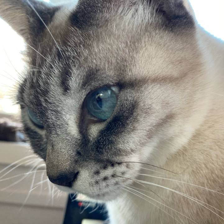 2d29b460 6373 428c a4c2 cf8701c9b820 1707545363900