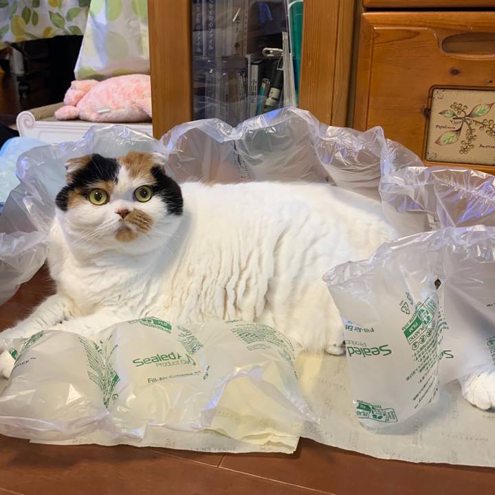 2d29b69c 30ee 4a6d 85b5 a1f0d4b47655 1580817614264