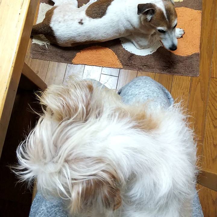 2d29bb20 0727 432c 8811 ac7171337f1a 1550096877653