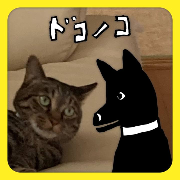 2d2a00c9 45e2 4600 877a 6a5216df78f8 1622857109601