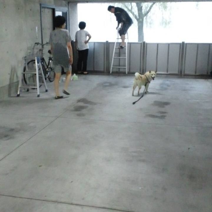 2d2a0bb4 4e51 47d5 b872 1bafb9cc4a9f 1658640980303