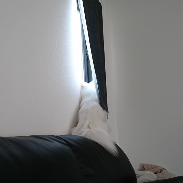 2d2a306d b125 4674 900d 9cabfe1e8597 1554273259502