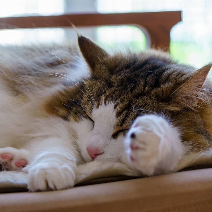 2d2a7758 45b3 448f af14 de5480cfceac 1654042790185