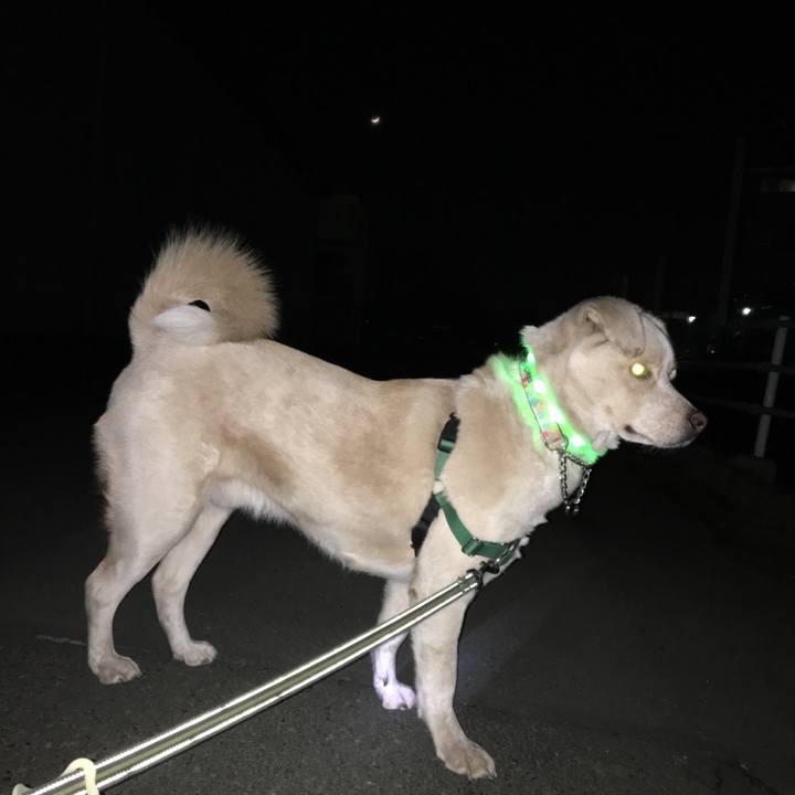 2d2a86b6 c506 44cb b8dc 459e91cd7bdb 1516443311703