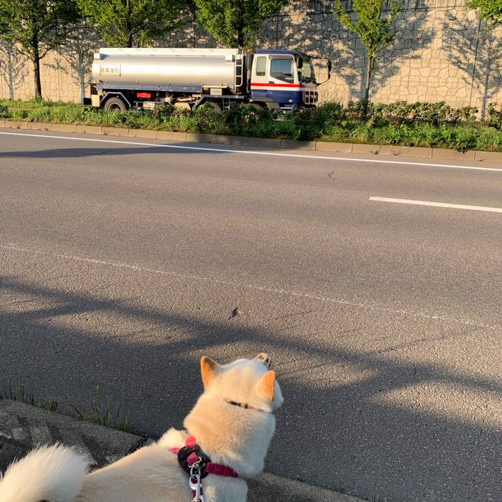 2d2a8acd 8134 4f7e a42e a710be17a94c 1567375924256