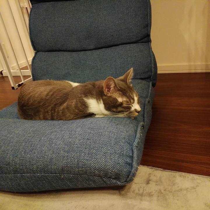 2d2a98d8 6dbc 47e9 84fd 2532706f1fb5 1586340648833