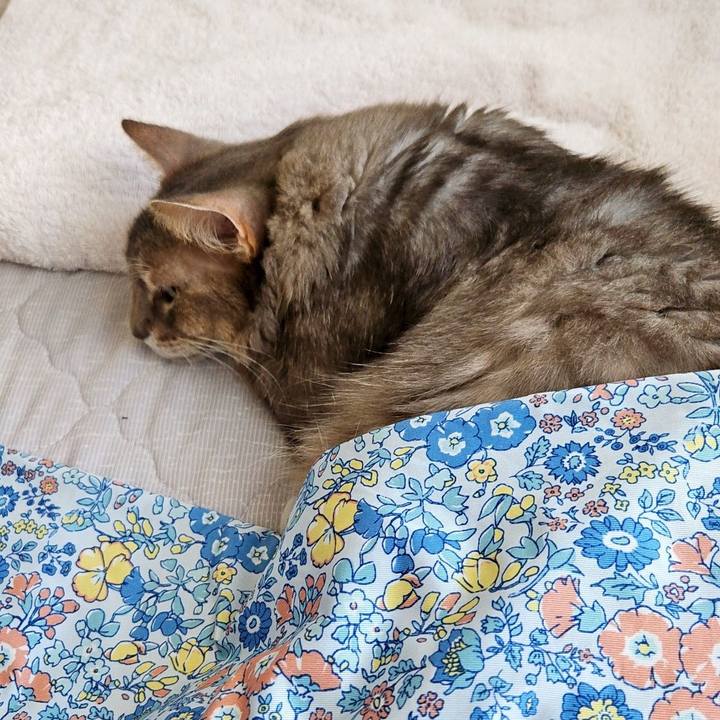 2d2b05dc 0dd1 4daa 8477 ebdd7f2310f8 1726327068828